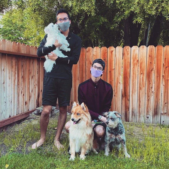 Meet your Posher, Steve - Picture 1 of 1